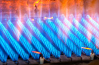 Roch gas fired boilers